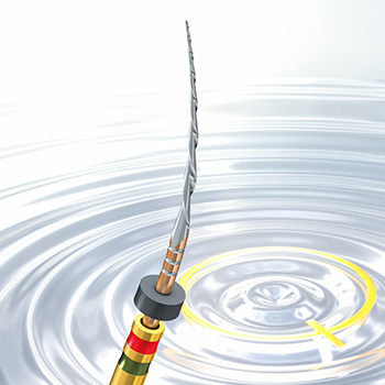 Procodile Q Head Image