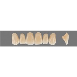 Vita Vitapan 3D, Upper, Anterior, Shade 1M1, Mould O98