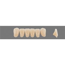 Vita Vitapan 3D, Lower, Anterior, Shade 3R25, Mould L12
