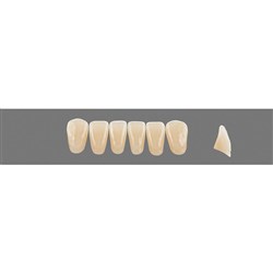 Vita Vitapan 3D, Lower, Anterior, Shade 3R25, Mould L13