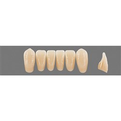 Vita Physiodens 3D, Lower, Anterior, Shade 3R25, Mould  L8L