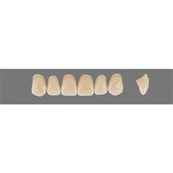 Vita Vitapan 3D, Upper, Anterior, Shade 3R25, Mould T53