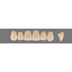 Vita Vitapan 3D, Upper, Anterior, Shade 3R25, Mould X96