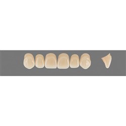 Vita Vitapan 3D, Upper Anterior, Shade 3R25, Mould Z51