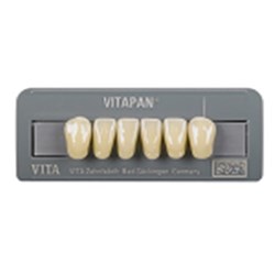 Vita Vitapan 3D, Lower, Anterior, Shade 4L15, Mould L5