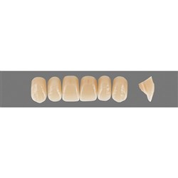 Vita Physiodens 3D, Upper, Anterior, Shade 4L25, Mould  Z1S