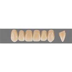 Vita Physiodens 3D, Upper, Anterior, Shade 4R15, Mould  O5L
