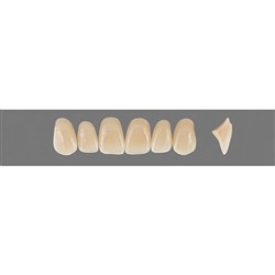 Vita Vitapan 3D, Upper, Anterior, Shade 4R25, Mould O35