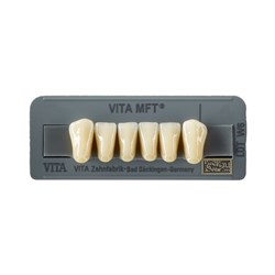Vita MFT Lower, Anterior, Shade 0M3, Mould L37LN