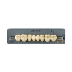 Vita MFT Lower, Posterior, 3D Shade 3M3, Mould PL33