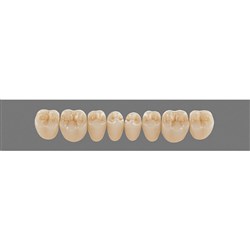 Vita MFT Lower, Posterior, Shade 3R25 A3.5, Mould PL29