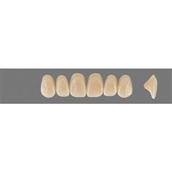 Vita MFT Upper, Anterior, Classical Shade A3, Mould O44