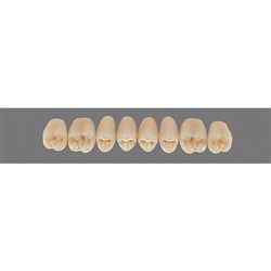 Vita MFT Upper Posterior, Classical Shade A3, Mould PU29