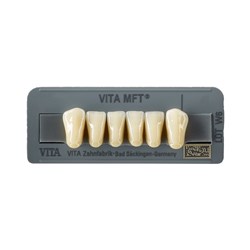 Vita MFT Lower, Anterior, Shade C1, Mould L37LN