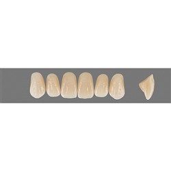 Vita Vitapan Plus Upper, Anterior, Shade A1, Mould T46