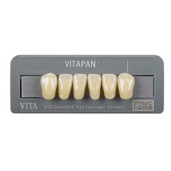 Vita Vitapan Classical Lower, Anterior, Shade D4, Mould L9