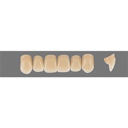 Vita Physiodens Classic, Upper, Anterior, Shade A3.5, Mould  Z2S