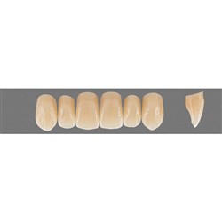 VITA Physiodens Classic, Upper Anterior, Shade B2, Mould X3L