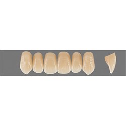 VITA Physiodens Classic, Upper Anterior, Shade B3, Mould O4L