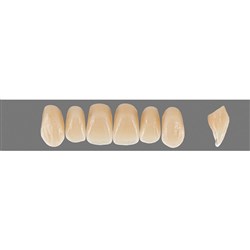 VITA Physiodens Classic, Upper Anterior, Shade B3, Mould T6L