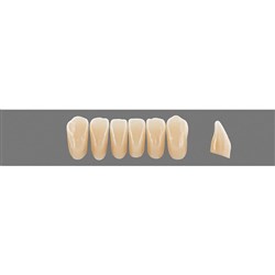 VITA Physiodens Classic, Lower Anterior, Shade B4, Mould L3M