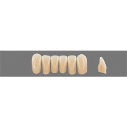 VITA Physiodens Classic, Lower Anterior, Shade B4, Mould L4M