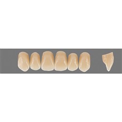 VITA Physiodens Classic, Upper Anterior, Shade B4, Mould T8L
