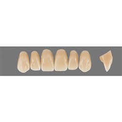 VITA Physiodens Classic, Upper Anterior, Shade B4, Mould T9L