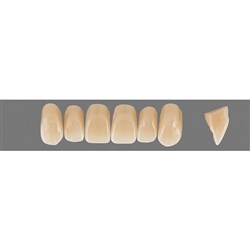 VITA Physiodens Classic, Upper Anterior, Shade B4, Mould X1M
