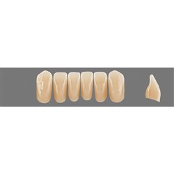 VITA Physiodens Classic, Lower Anterior, Shade C2, Mould L6L