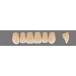 Vita Physiodens Classic, Upper, Anterior, Shade C3, Mould  T7M
