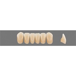 VITA Physiodens Classic, Lower Anterior, Shade D4, Mould L7L