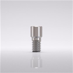 Prosthetic screw