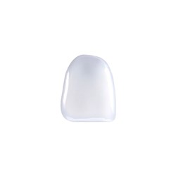 Coltene Brilliant Componeer - Prefabricated Composite Shells - Shade Translucent - M31, 1-Pack