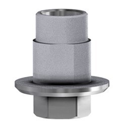 BioHorizons Int. ti-b WP Eng