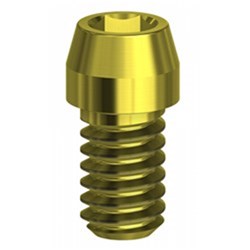 Astra EV Uni abutment screw