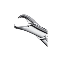 FORCEPS #F23S Pedo Cowhorn Primary