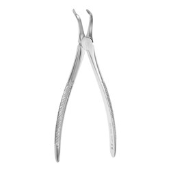Julius Wirth Root Forceps - #46L Serrated