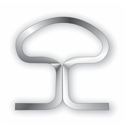 NAOL Beta Titanium Mushroom Loop, 019X025, 30mm, 5-Pack