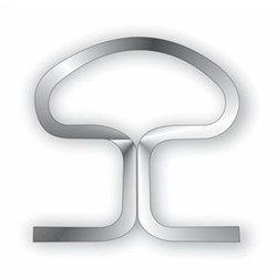 NAOL Beta Titanium Mushroom Loop, 016X022, 40mm, 5-Pack