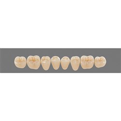 Vita Vitapan 3D, Lower, Posterior, Cuspiform, Shade 2L15, Mould 41CL