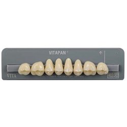 Vita Vitapan 3D, Upper, Posterior, Cuspiform, Shade 2M3, Mould 40CU
