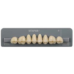Vita Vitapan Classical Upper, Posterior, Synoform, Shade A1, Mould 11S