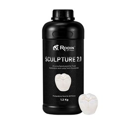 Rodin Sculpture 2.0 Shade 0M1 300g