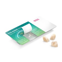 Vita VIONIC VIGO - Posterior - Shade D3, Mould 22L - OK Upper