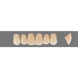 Vita Vitapan EXCELL 3D, Upper, Anterior, Shade 0M3, Mould O47