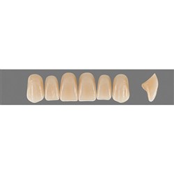 Vita Vitapan EXCELL 3D, Upper, Anterior, Shade 0M3, Mould R49
