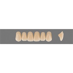 Vita Vitapan EXCELL 3D, Upper, Anterior, Shade 0M3, Mould T42