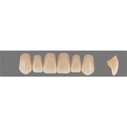 Vita Vitapan EXCELL 3D, Upper, Anterior, Shade 0M3, Mould T50