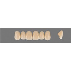 Vita Vitapan EXCELL Classical, Upper, Anterior, Shade C1, Mould O43
